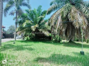 Tanah di Jalan Raya Jember Banyuwangi , Banyuwangi