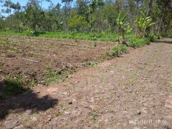 Jual Tanah Murah di Pasuruan, Jawa Timur