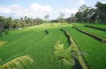 thumbnail-five-star-resort-for-sale-located-in-tegallang-ubud-bali-6