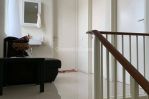 thumbnail-disewakan-rumah-full-furnish-north-west-park-citraland-4