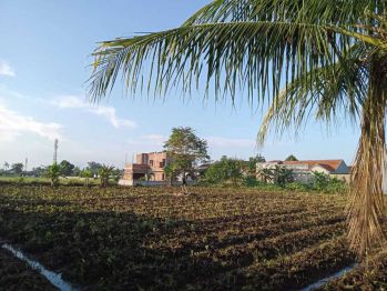 Kavling Strategis Dekat Hypermart Yasmin, SHM. Cicil 12X