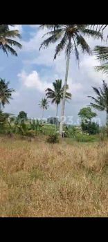 Rth. Dijual Tanah Dipuncak Kawung Luwuk Sukaresmi