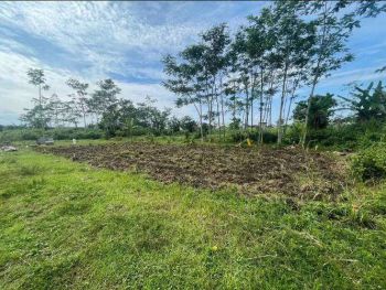 Dijual Cepat Tanah Malang Dekat Bandara Malang