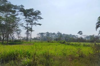 Dijual Tanah Kavling Murah Malang Belakang Araya