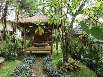 Dijual Murah Tanah Atau Tempat Wisata Di Subang