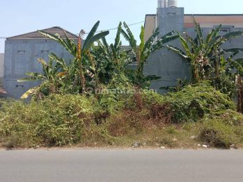 Tanah Strategis Pinggir Jalan Brajan Timur UMY Dalam Ringroad