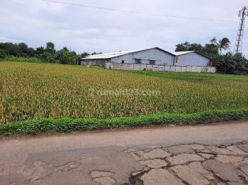 Tanah Jl Raya Curug Tangerang