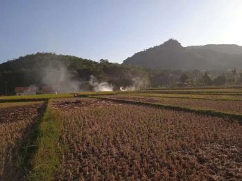 Tanah Sawah Murah dan Strategis diRumpin Bogor