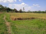 thumbnail-tanah-sawah-murah-dan-strategis-dirumpin-bogor-4