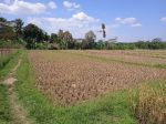 thumbnail-tanah-sawah-murah-dan-strategis-dirumpin-bogor-3