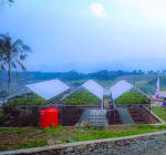 thumbnail-jual-tanah-wisata-anggur-strategis-harmoni-farm-house-bogor-4