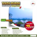 thumbnail-jual-tanah-wisata-anggur-strategis-harmoni-farm-house-bogor-6