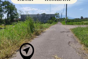 Area Kulineran di Jl Palagan Km 8, Peruntukan Homestay