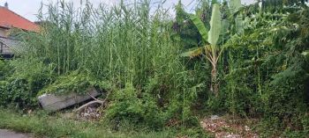 DI JUAL TANAH DI SIDA KARYA DEKAT SANUR