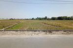 thumbnail-jual-murah-tanah-sawah-800-meter-dari-jalan-godean-1-jutaan-aja-1