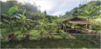 Dijual Tanah mainroad di Ciwidey