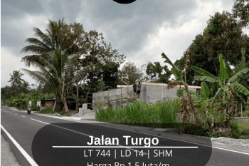 Tanah Sawah Cantik Prospek Investasi Dan Usaha Tepi Jalan Turgo
