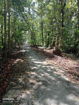 DI JUAL TANAH MURAH DI KREMBANGAN PANJATAN KULON PROGO