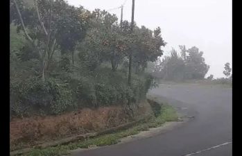 Dijual kebun jeruk produktif view bukit cocok untuk villa