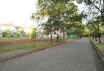 thumbnail-kavling-hook-17x21-cluster-de-cajuputi-at-de-park-bsd-city-8