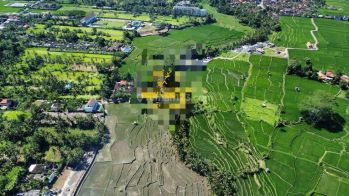 Hot List Di Jual Tanah Lokasi Lodtunduh Ubud Gianyar