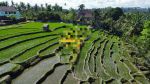 thumbnail-hot-list-di-jual-tanah-lokasi-lodtunduh-ubud-gianyar-6