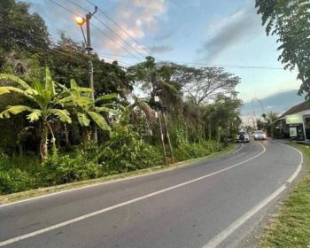 Tanah Raya Padang Linjong Canggu Bali