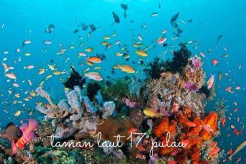 Dijual Tanah Murah Dekat Taman Laut 17 Pulau Riung