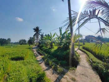 Dijual Lahan di Tegallalang Dekat Dengan Resort Resort View Sawah