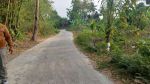 thumbnail-tanah-murah-lokasi-dekat-perum-1000-unit-di-jering-4