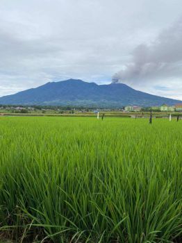 Tanah di Jual strategis dekat Kampus UIN Bukittinggi dan Pusat Kota