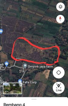 Dijual Tanah Pertanian Rembang Pasuruan