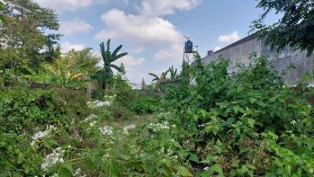 Tanah SHM Pekarangan di Mlati Sleman Siap Bangun