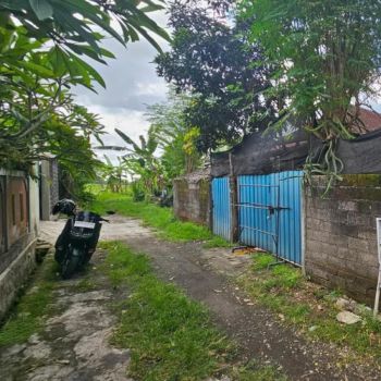 Tanah Babakan Canggu view sawah Badung Bali