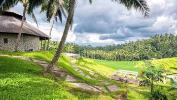 MURAH DIJUAL TANAH BONUS BANGUNAN RESORT VIEW SAWAH LOKASI TABANAN