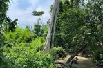 thumbnail-beautiful-land-with-rice-field-and-ruver-side-3