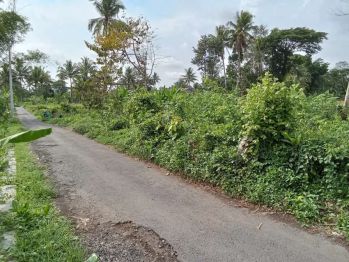 Disewakan tanah kosong