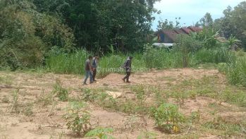 Dekat Calon Kampus Uin 2, Tanah Murah Pajangan, Luas 100 an M