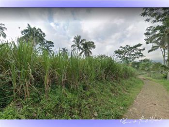 Tanah luas 7.479 m² di Jabung Kab. Malang