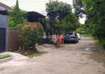 Rumah Cibinong Type 84 36 Murah Dekat Stasiun Cibinong