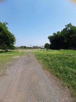 Tanah Luas 1,25 Hektar di Jl. Neglasari Tangerang