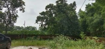 jual cepat dan murah.tanah perkebunan.