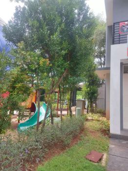 Murah Rumah Katamaran Indah