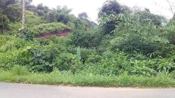 Tanah Jl Raya Leuwiliang Bogor