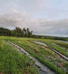 thumbnail-tanah-view-laut-kawasan-wisata-500-meter-dari-pantai-7