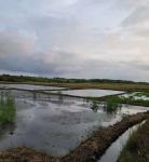 thumbnail-tanah-view-laut-kawasan-wisata-500-meter-dari-pantai-3