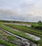 thumbnail-tanah-view-laut-kawasan-wisata-500-meter-dari-pantai-6