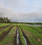 thumbnail-tanah-view-laut-kawasan-wisata-500-meter-dari-pantai-5