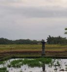 thumbnail-tanah-view-laut-kawasan-wisata-500-meter-dari-pantai-4