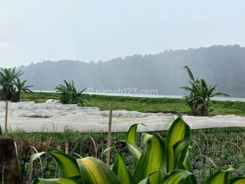 Sell Tanah: BESUTIFUL LAND